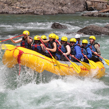 activity 4